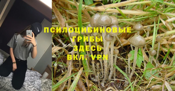 стафф Магас
