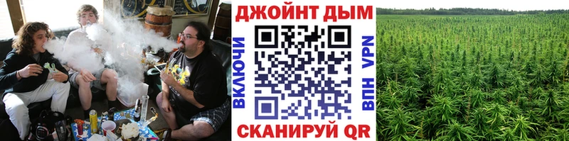 Купить  Нефтекумск  Канабис сатива 